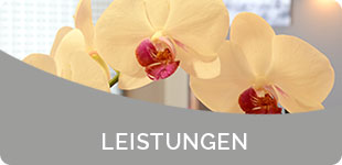 Leistungen